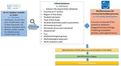 Ocean acidification research in the Mediterranean Sea: Status, trends and next steps